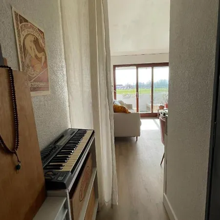 Charming - Board Of Geneva Apartment