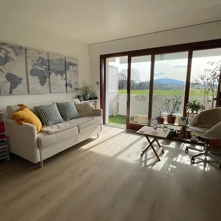 Charming - Board Of Geneva Apartment Veigy-Foncenex