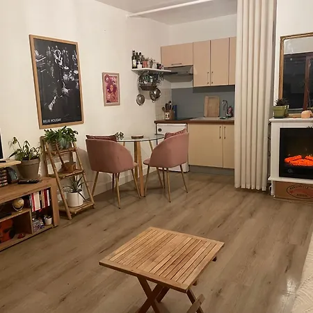 Charming - Board Of Geneva Apartment
